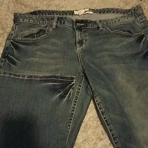 Maurices Ivy Jeans